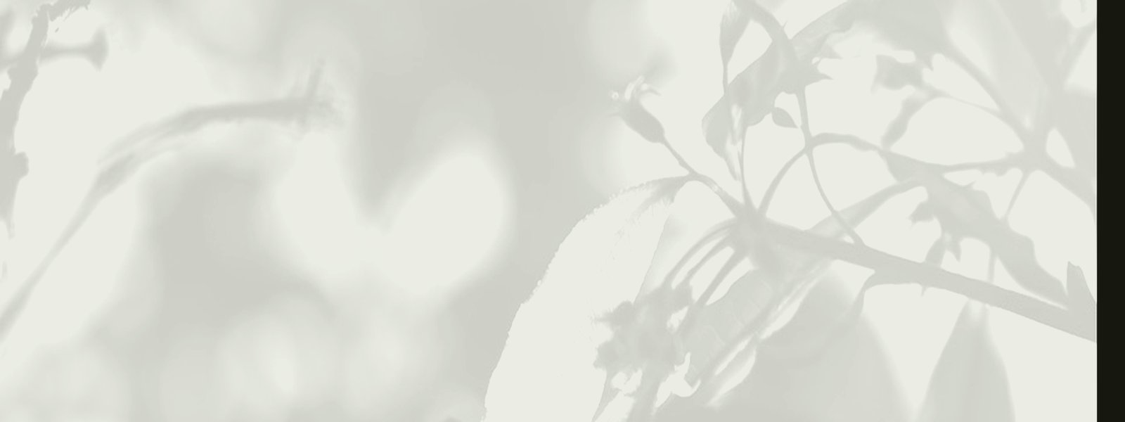 EXCELENT – pietní služby