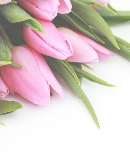 Důstojná a klidná atmosféra